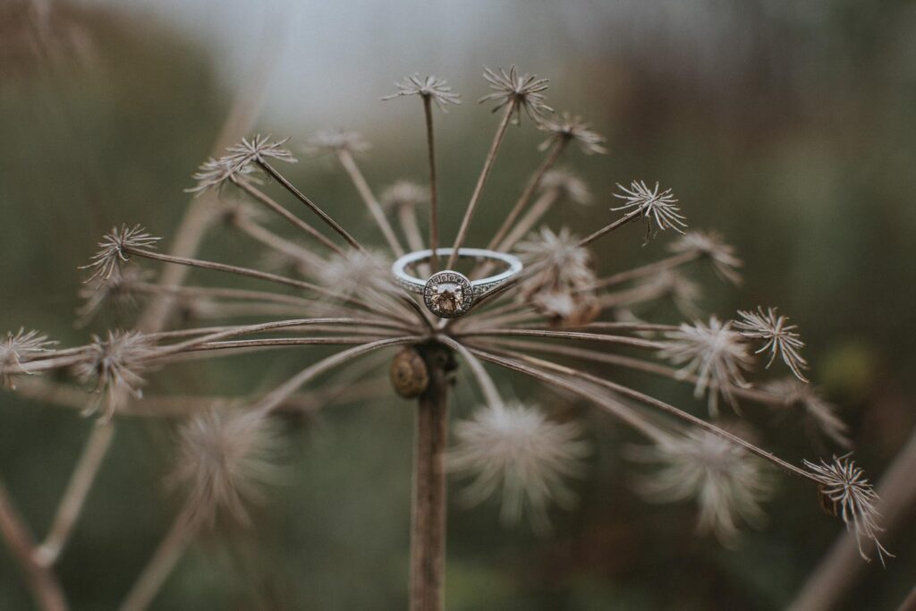 closeup image a wedding ring sitting on top of dry elderflower crown